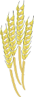 Clip Art of Wheat